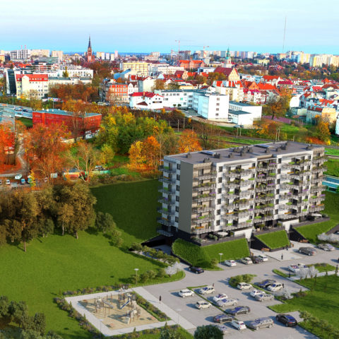 DCIM100MEDIADJI_0153.JPG