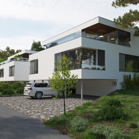 AG23-004-t3 0052 Blizniaki c01_1