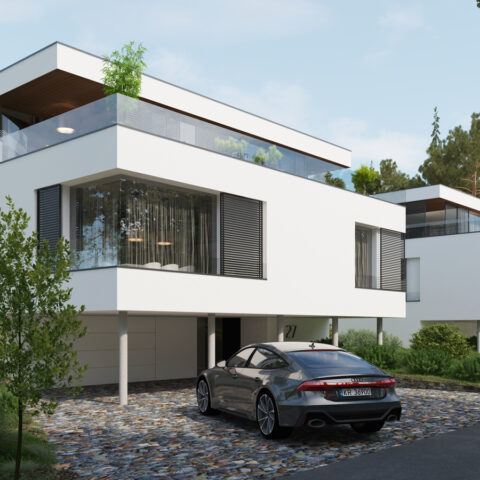 AG23-004-t3 0052 Blizniaki c02_1