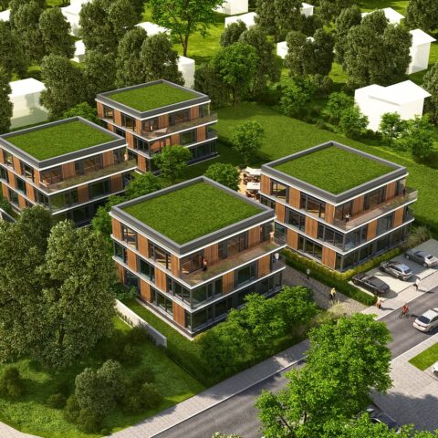 AR24-008-Puszczykowo-c03-HDR