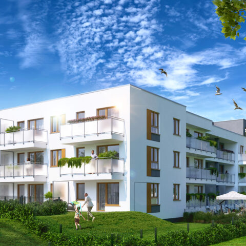 An24-007 - Kuropatwy XII-c00-HDR