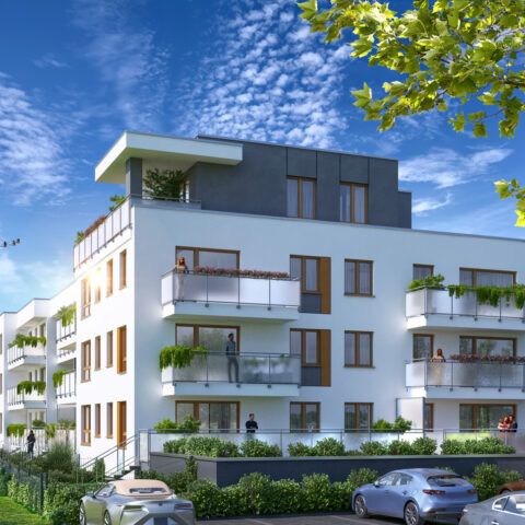 An24-007 - Kuropatwy XII-c02-HDR