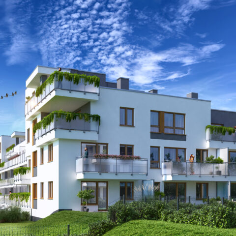 An24-007 - Kuropatwy XII-c03a-HDR