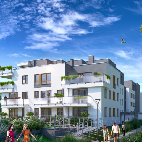 An24-007 - Kuropatwy XII-c04-HDR