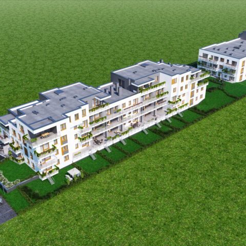 An24-007 - Kuropatwy XII-c05-HDR