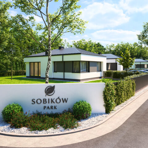 An25-009-Sobikow-c20-Hi