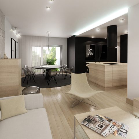 pp15-0006 Miedzyborz SALON Ab.0000
