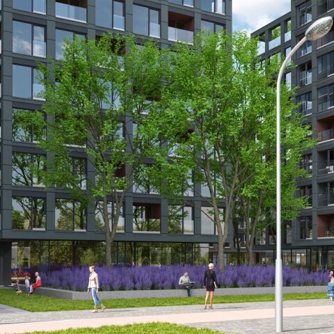 AR23-002-Roosevelta vB c07-HDR