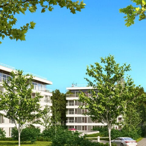 AR24-013-Sopot-vH-Bialy c10-HDR_[current]