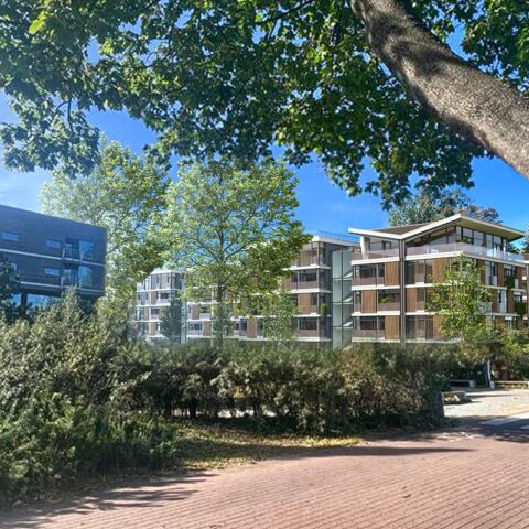 AR24-013-Sopot-vI-Drewno c07-HDR_[current]