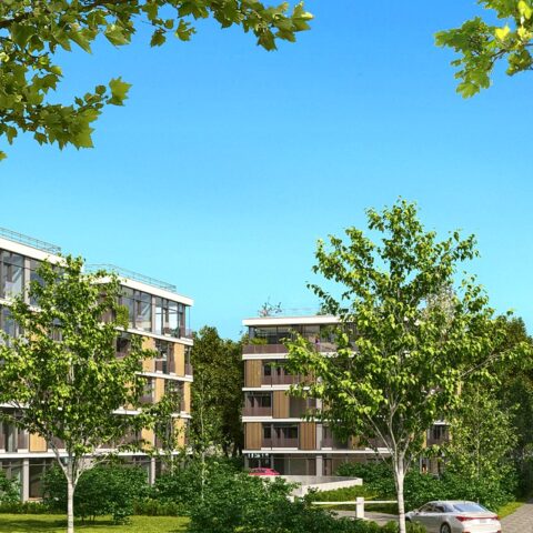 AR24-013-Sopot-vI-Drewno c10-HDR_[current]