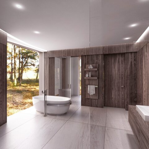 AR25-001-Rosnowko-lazienka-master-c00-HDR_BK - Wnętrza